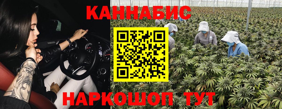 Бошки марихуана планчик  Бошки Шишки план  Шишки марихуана индика  Барабинск  Вход с VPN  МАРИХУАНА LSD WEED 